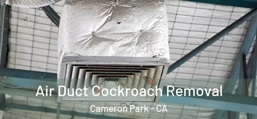Air Duct Cockroach Removal Cameron Park - CA