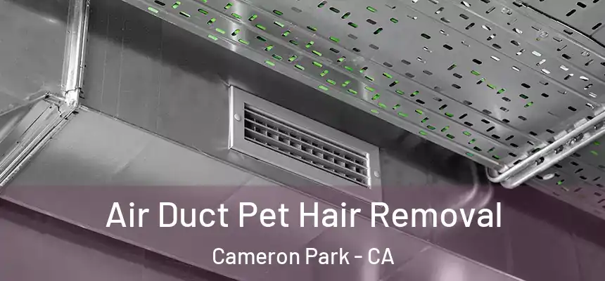 Air Duct Pet Hair Removal Cameron Park - CA