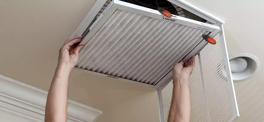 Preventive Cockroach-Proofing for Ducts in Cameron Park