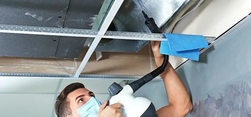 Our Air Duct Rodent Removal Services in Cameron Park, CA