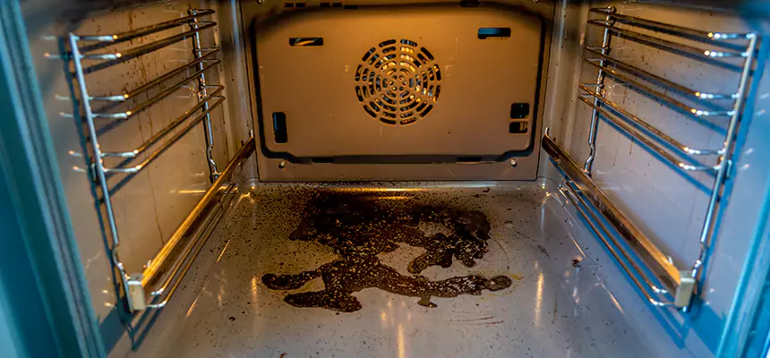 Our Dryer Vent Mold Cleaning Services in Cameron Park, CA