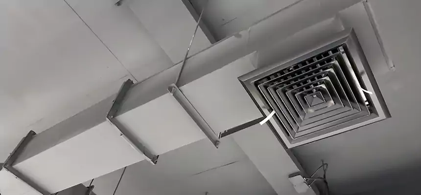 Our Rodent Droppings In Vents Services in Cameron Park, CA