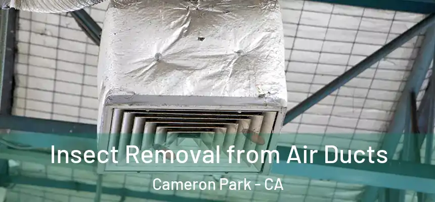  Insect Removal from Air Ducts Cameron Park - CA