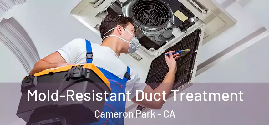 Mold-Resistant Duct Treatment Cameron Park - CA