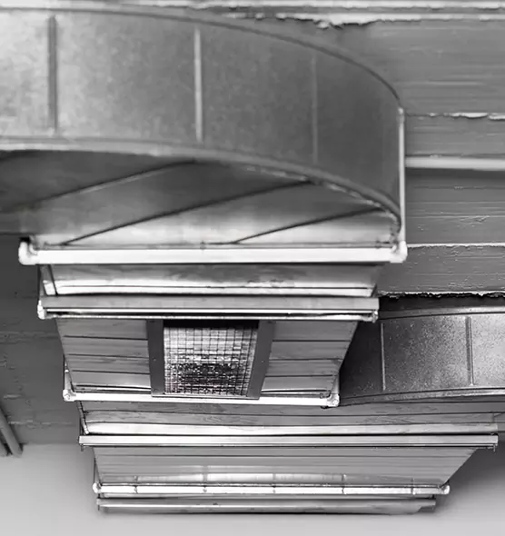 Professional Air Duct Pest Removal in Cameron Park, CA