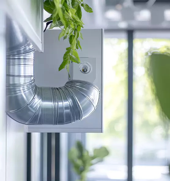 Professional Eco-Safe Dryer Vent Cleaning in Cameron Park, CA