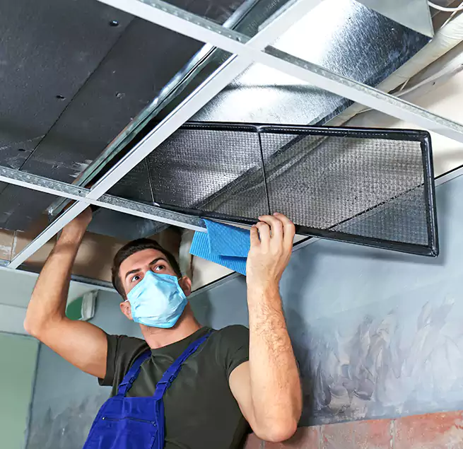 Why Homeowners Businesses Trust Us in Cameron Park, CA