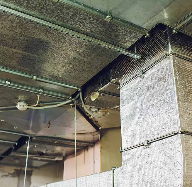 Why Homeowners & Businesses Trust Us in Cameron Park, CA?